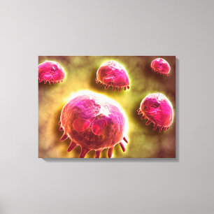 Toile Vue Microscopique Des Macrophages Phagocytiques 2