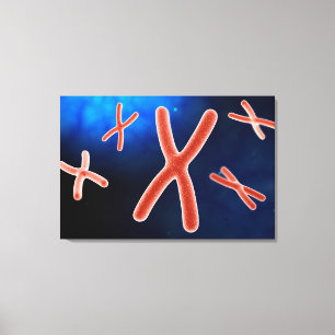 Toile Vue Microscopique Du Chromosome 1