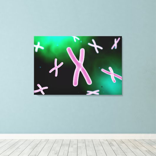 Toile Vue Microscopique Du Chromosome 2 (Insitu (Plancher de Bois))