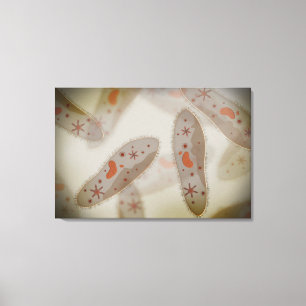 Toile Vue Microscopique Du Paramètre 1