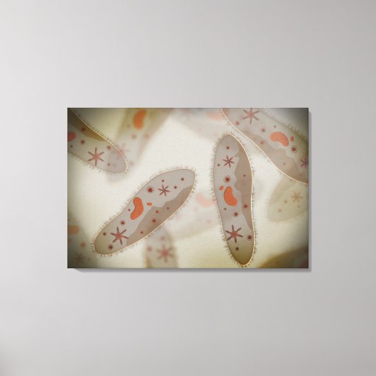 Toile Vue Microscopique Du Paramètre 1 (Recto)