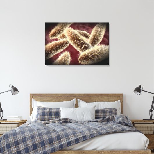 Toile Vue Microscopique Du Paramètre 2 (Insitu(Chambre))