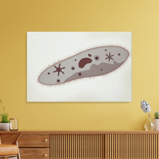 Toile Vue Microscopique Du Paramètre 3 (Insitu(Salon))