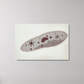 Toile Vue Microscopique Du Paramètre 3 (Recto)