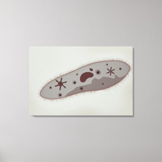 Toile Vue Microscopique Du Paramètre 3 (Recto)