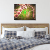 Toile Vue Microscopique Du Streptococcus Pneumoniae (Insitu(Chambre))