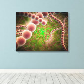 Toile Vue Microscopique Du Streptococcus Pneumoniae (Insitu (Plancher de Bois))