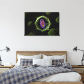 Toile Vue Microscopique Du Virus Du VIH, Section Transve (Insitu(Chambre))