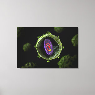 Toile Vue Microscopique Du Virus Du VIH, Section Transve