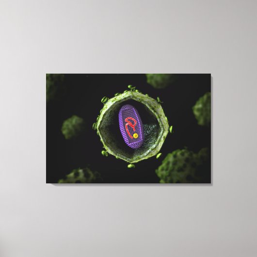 Toile Vue Microscopique Du Virus Du VIH, Section Transve (Recto)