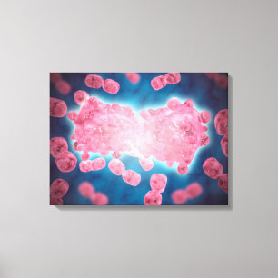 Toile Vue Microscopique D'Un Groupe De Cellules Leucémiq