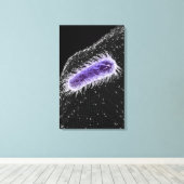 Toile Vue microscopique d'une cellule hélicobacter pylor (Insitu (Plancher de Bois))