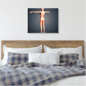 Toile Vue Précédente Du Corps Féminin Avec Système Squel (Insitu(Chambre))