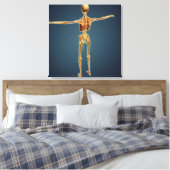 Toile Vue Précédente Du Squelette Humain Avec Système Ne (Insitu(Chambre))