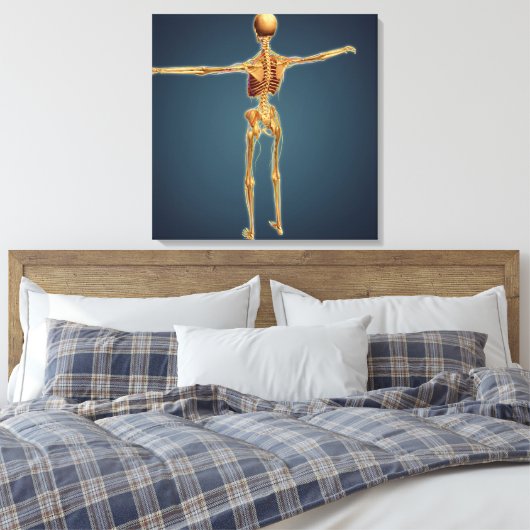 Toile Vue Précédente Du Squelette Humain Avec Système Ne (Insitu(Chambre))