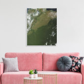Toile Vue satellite de la Colombie-Est (Insitu(Salon))