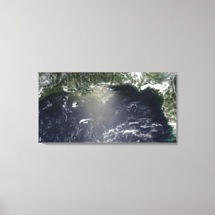 Toile Vue satellite de la fuite d'huile