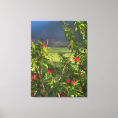 Toile Vue sur le lac Floral (Recto)