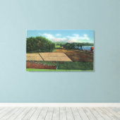 Toile Vue sur une plantation de canneberges (Insitu (Plancher de Bois))