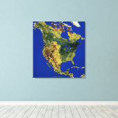 Toile Vue topographique de l'Amérique du Nord et de l'Am (Insitu (Plancher de Bois))