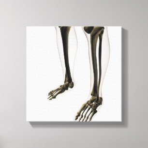 Toile Vue tridimensionnelle de jambe et de pieds humains