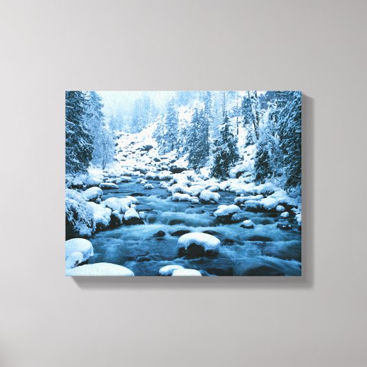 Toile WA, forêt nationale de Wenatchee, Cascade (Recto)