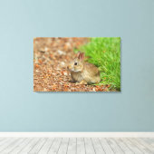 Toile WA, Redmond, lapin bébé à queue blanche (Insitu (Plancher de Bois))