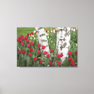 Toile WA, vallée de Skagit, jardin de tulipes Roozengaar