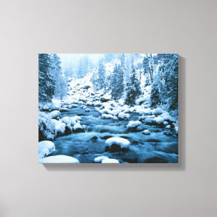 Toile WA, Wenatchee National Forest, Cascade