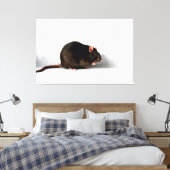 Toile Waccna Rat 60x40 (150x100cm) (Insitu(Chambre))