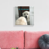 Toile Wall Art Dog in Mirror (Insitu(Salon))