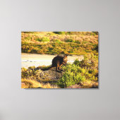 Toile Wallaby sur le Riverside (Recto)