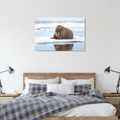 Toile Walrus resting on ice, Norway (Insitu(Chambre))