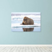 Toile Walrus resting on ice, Norway (Insitu (Plancher de Bois))