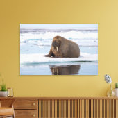 Toile Walrus resting on ice, Norway (Insitu(Salon))