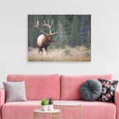 Toile Wapiti des montagnes Rocheuses (Insitu(Salon))