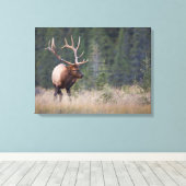 Toile Wapiti des montagnes Rocheuses (Insitu (Plancher de Bois))