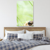 Toile Washington, États-Unis (Insitu(Chambre))