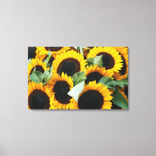 Toile Washington, Seattle, Tournesol à vendre pike