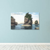 Toile Washington - Vue de Cape Flattery & Tatoosh (Insitu (Plancher de Bois))