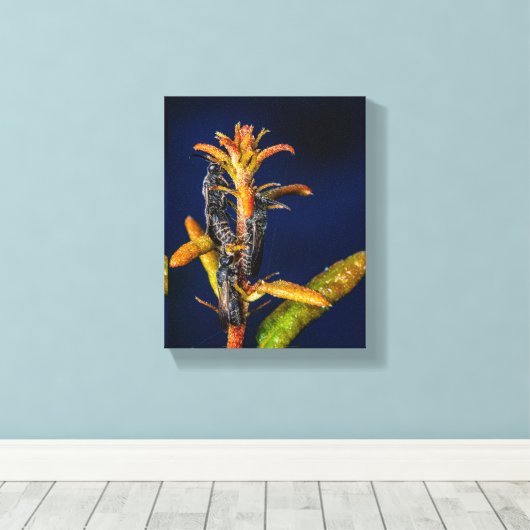 Toile Wasps on Oak (Insitu (Plancher de Bois))