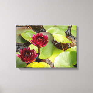 Toile Water Lily Canvas Print