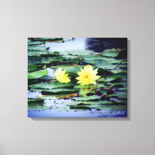 Toile Water Lily Pond:Premium Canvas (Recto)