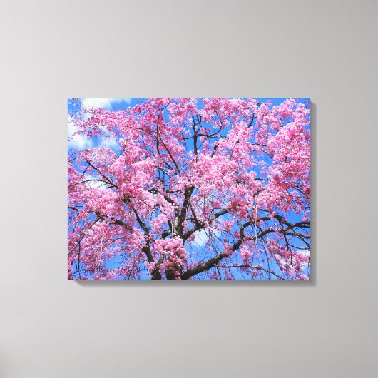 Toile Weeping Cherry: Yaebenishidare [Canvas Print] (Recto)