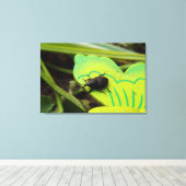 Toile Weharm, Beetles, Curculionoidea, Bug (Insitu (Plancher de Bois))