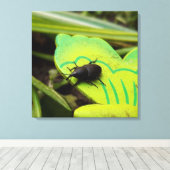Toile Weharm, Beetles, Curculionoidea, Bug (Insitu (Plancher de Bois))