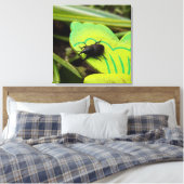 Toile Weharm, Beetles, Curculionoidea, Bug (Insitu(Chambre))