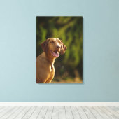 Toile Weimaraner 3 (Insitu (Plancher de Bois))