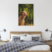 Toile Weimaraner 3 (Insitu(Chambre))