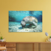 Toile West Indian Manatee (Insitu(Salon))